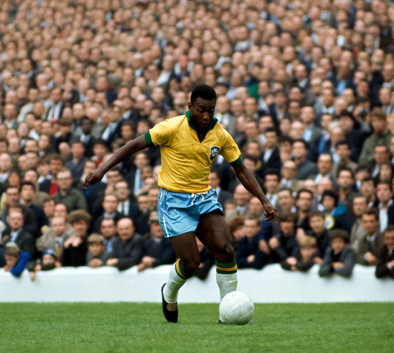 慢动作呈现 慢动作呈现